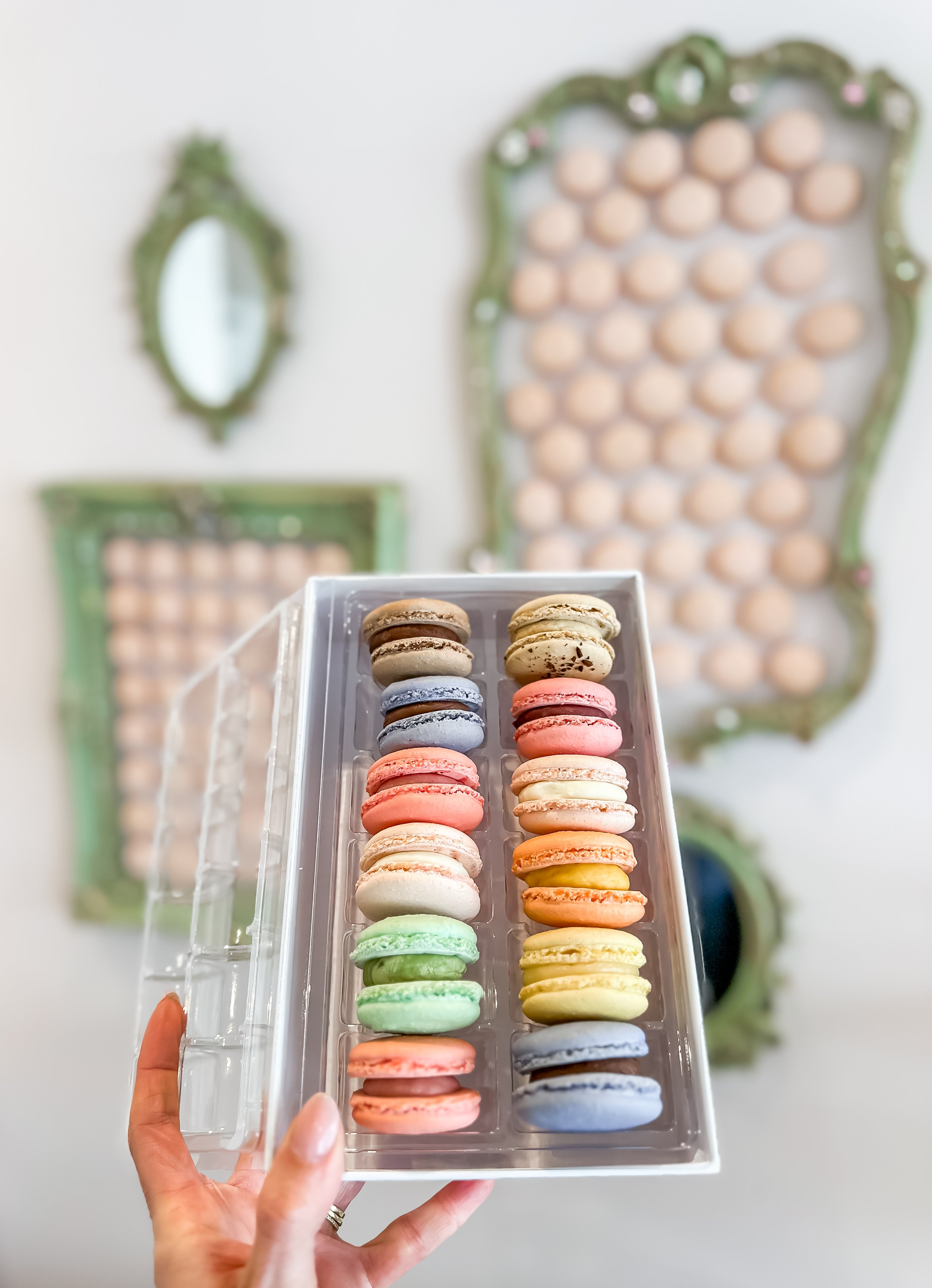 Macaron 12pk Gift Box