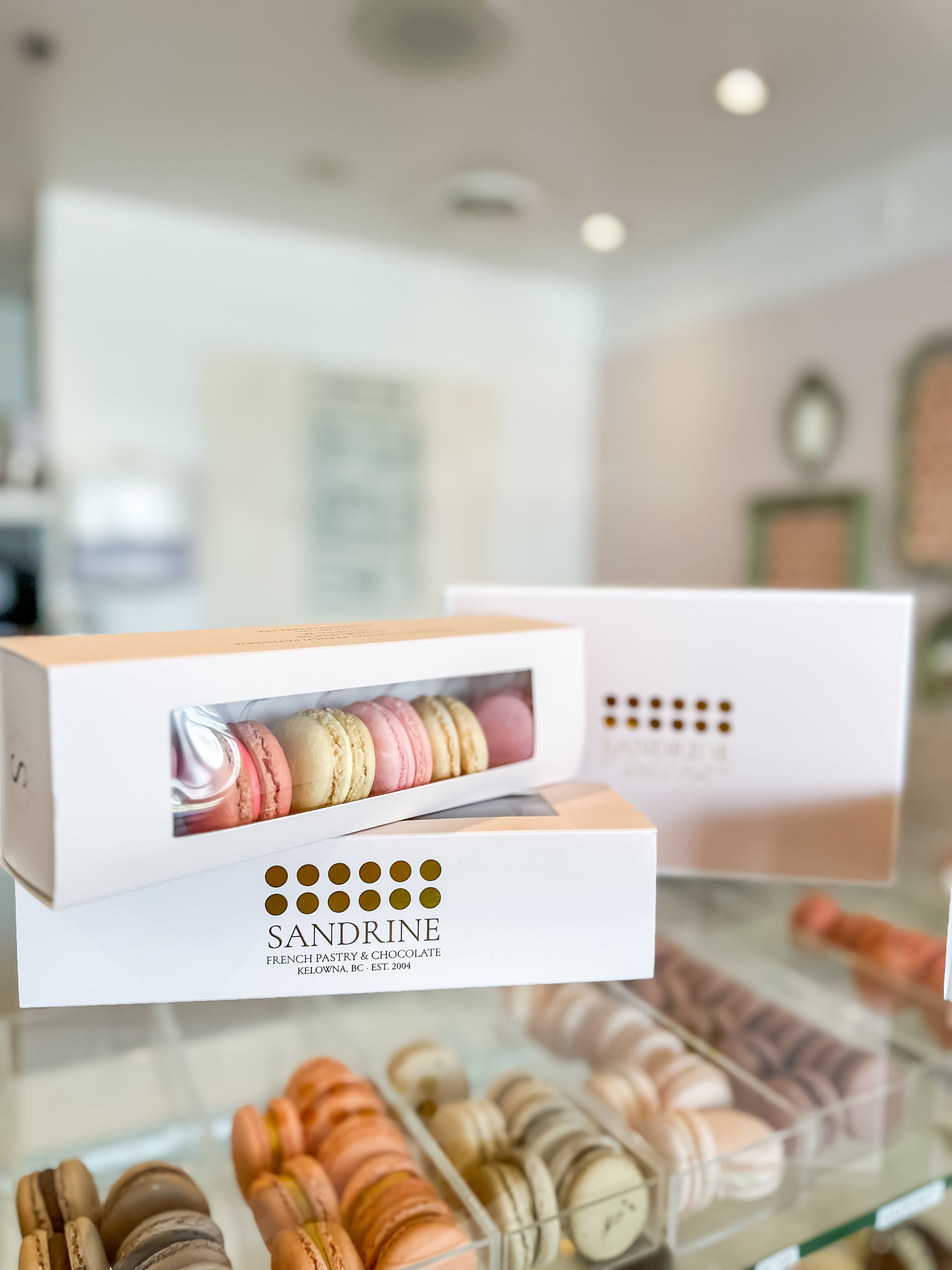 Macaron 6pk Gift Box